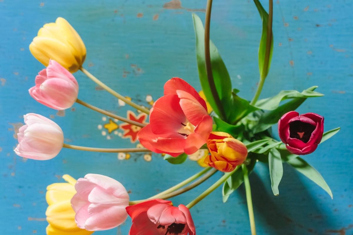flowers-3209128